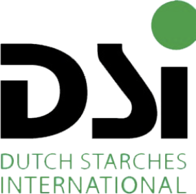 dsi logo